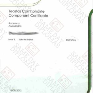 Certificate - FETAC