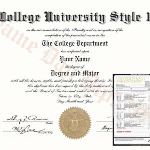 College and University Diploma, Stock Design & Transcripts