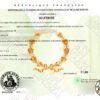 Faux Diplomas Universities - Diploma's ET Certificates - France